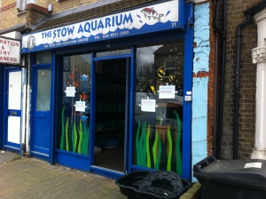 Picture of The Stow Aquarium